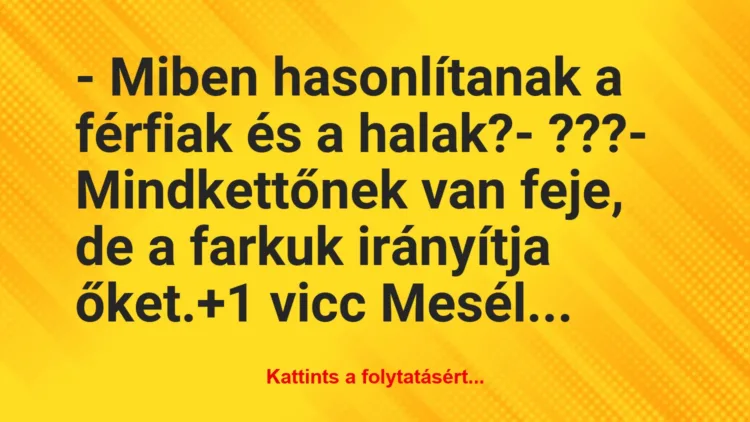 Vicc: – Miben hasonlítanak a férfiak és a halak?

– ???

-…