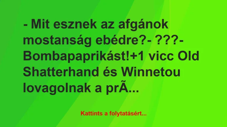 Vicc: – Mit esznek az afgánok mostanság ebédre?

– ???

-…