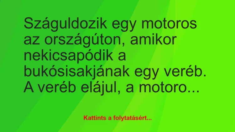 Vicc: Száguldozik egy motoros az országúton, amikor nekicsapódik a…