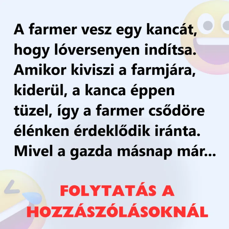 Vicc: A farmer vesz egy kancát, hogy lóversenyen indítsa