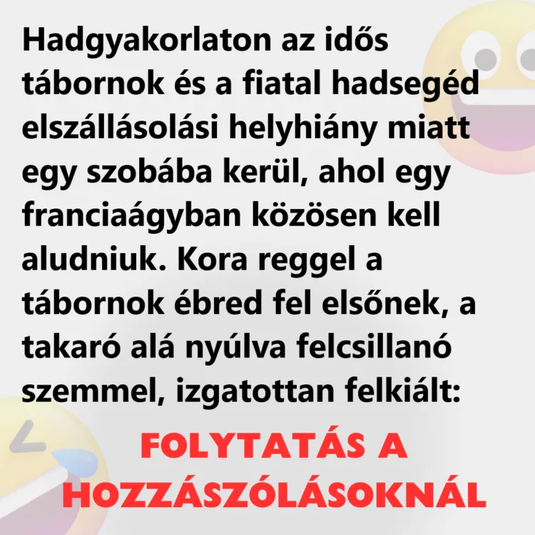 Vicc: Hadgyakorlaton az idős tábornok és a fiatal hadsegéd