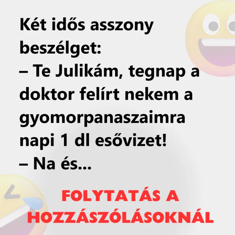 Vicc: Két idős asszony beszélget