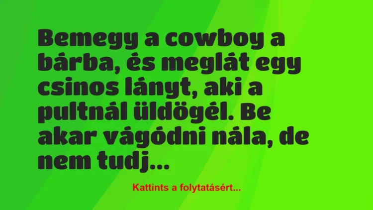 Vicc: Bemegy a cowboy a bárba, és meglát egy csinos lányt, aki a pultnál…