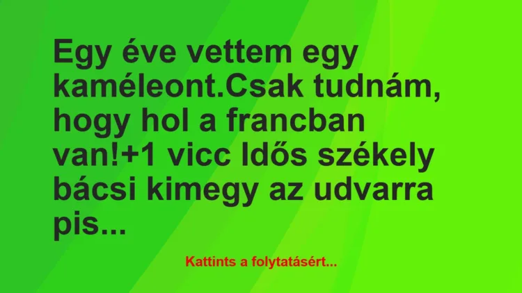 Vicc: Egy éve vettem egy kaméleont.

Csak tudnám, hogy hol a francban…