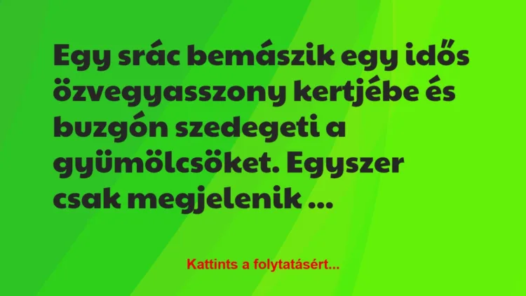 Vicc: Egy srác bemászik egy idős özvegyasszony kertjébe és buzgón szedegeti…