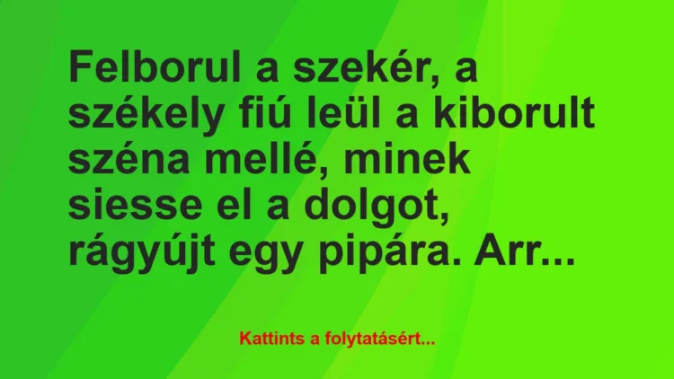 Vicc: Felborul a szekér, a székely fiú leül a kiborult széna mellé, minek…