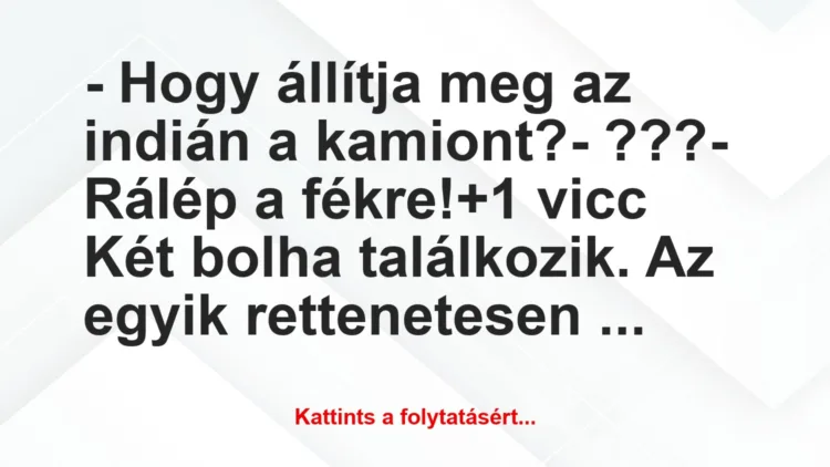 Vicc: – Hogy állítja meg az indián a kamiont?

– ???

– Rálép a…