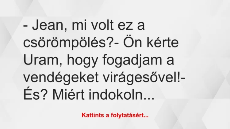 Vicc: – Jean, mi volt ez a csörömpölés?

– Ön kérte Uram, hogy fogadjam…