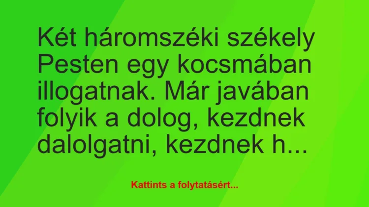 Vicc: Két háromszéki székely Pesten egy kocsmában illogatnak. Már javában…