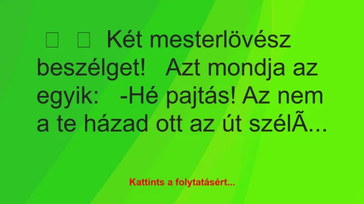 Vicc: 
	    	    Két mesterlövész beszélget!


Azt mondja az…