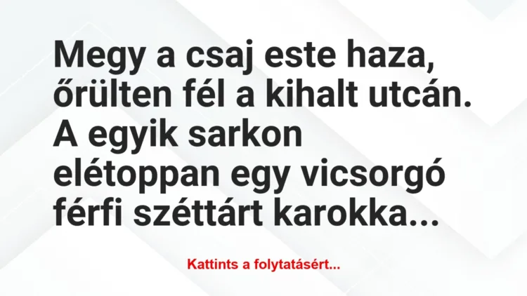 Vicc: Megy a csaj este haza, őrülten fél a kihalt utcán. A egyik sarkon…