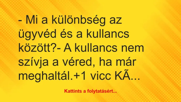 Vicc: – Mi a különbség az ügyvéd és a kullancs között?

– A kullancs nem…