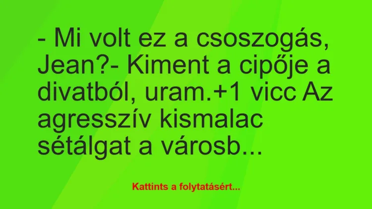 Vicc: – Mi volt ez a csoszogás, Jean?

– Kiment a cipője a divatból,…