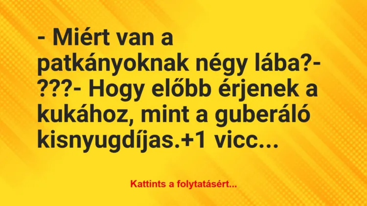 Vicc: – Miért van a patkányoknak négy lába?

– ???

– Hogy előbb…