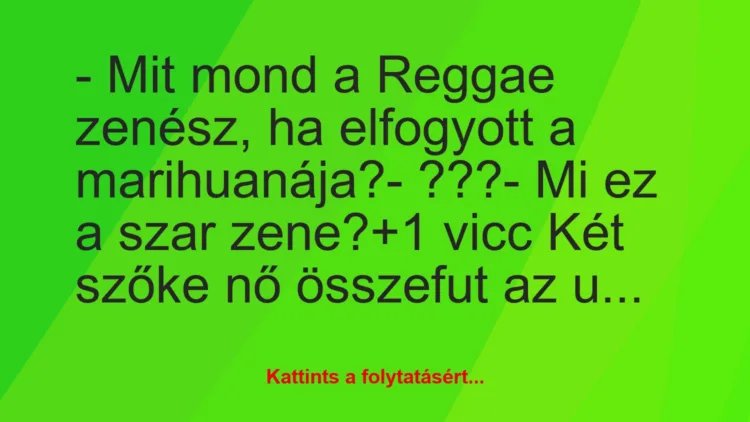 Vicc: – Mit mond a Reggae zenész, ha elfogyott a marihuanája?

-…