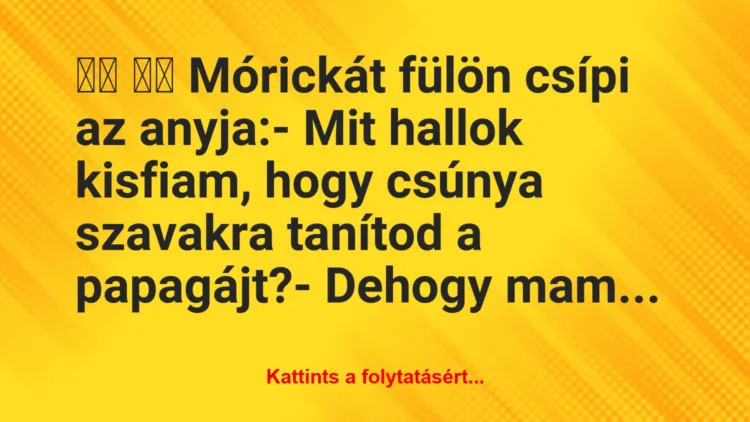 Vicc: 
		  
		  Mórickát fülön csípi az anyja:- Mit hallok…