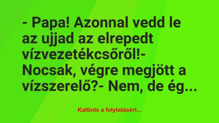 Vicc: – Papa! Azonnal vedd le az ujjad az elrepedt vízvezetékcsőről!

-…