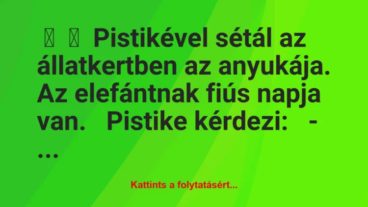 Vicc: 
	    	    Pistikével sétál az állatkertben az anyukája. Az elefántnak…