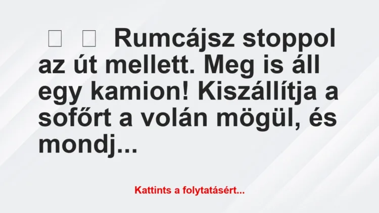 Vicc: 
	    	    Rumcájsz stoppol az út mellett. Meg is áll egy kamion!…