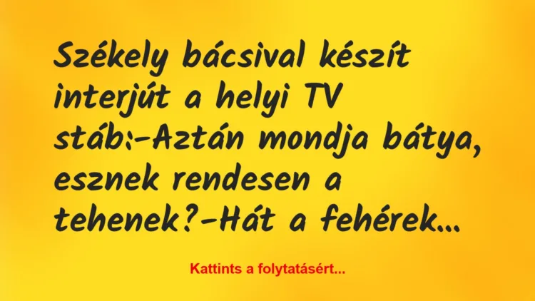 Vicc: Székely bácsival készít interjút a helyi TV stáb:

-Aztán mondja…