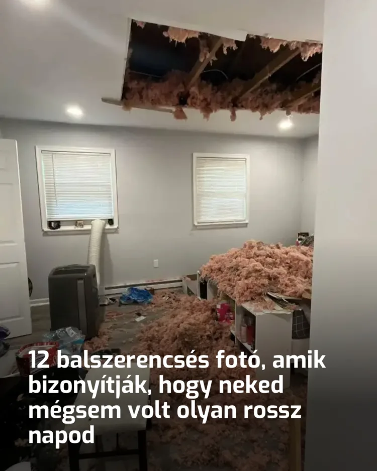 12 balszerencsés fotó, amik bizonyítják, hogy neked mégsem volt olyan rossz napod