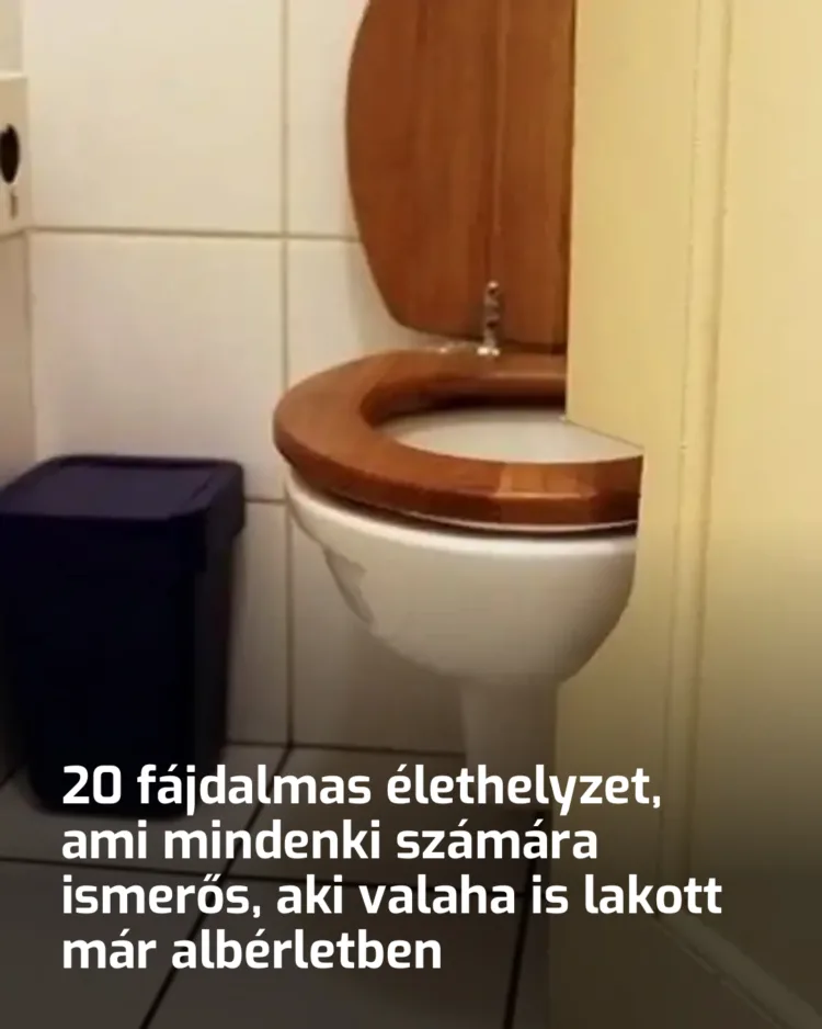 20 emlékezetes kaland, ami minden lakótársnak ismerős, aki valaha bérelt albérletet