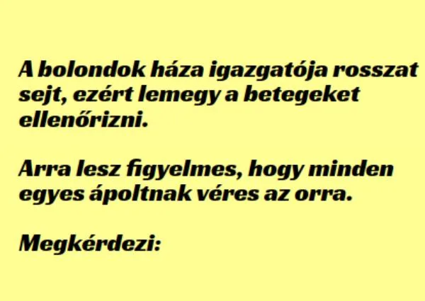 Vicc: A bolondok háza igazgatója rosszat sejt, ezért lemegy a…