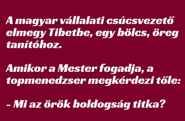 Vicc: A magyar vállalati csúcsvezető elmegy Tibetbe, egy bölcs, öreg…