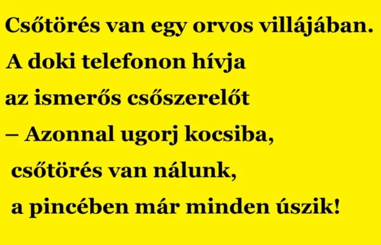 Vicc: Csőtörés van egy orvos villájában. A doki telefonon hívja az ismerős…