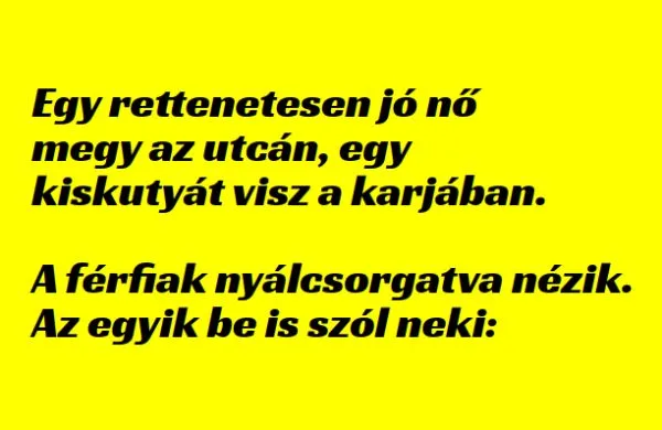 Vicc: Egy rettenetesen jó nő megy az utcán, egy kiskutyát visz a…