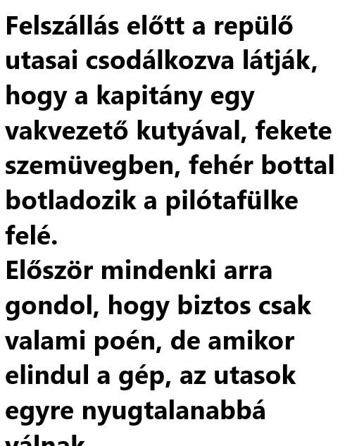 Vicc: Felszállás előtt a repülő utasai csodálkozva látják, hogy a…