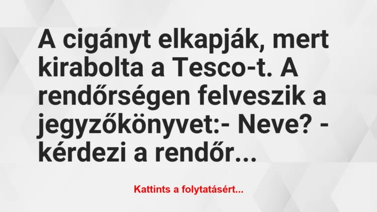 Vicc: A cigányt elkapják, mert kirabolta a Tesco-t. A rendőrségen felveszik…