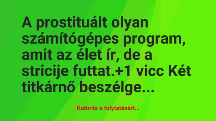 Vicc: A prostituált olyan számítógépes program, amit az élet ír, de a…