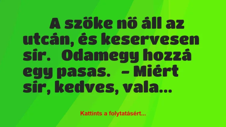 Vicc: 
	    	    A szőke nő áll az utcán, és keservesen sír.


Odamegy …