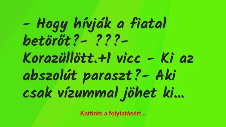 Vicc: – Hogy hívják a fiatal betörőt?

– ???

-…