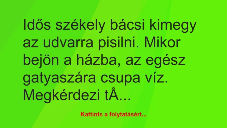 Vicc: Idős székely bácsi kimegy az udvarra pisilni. Mikor bejön a házba, az…