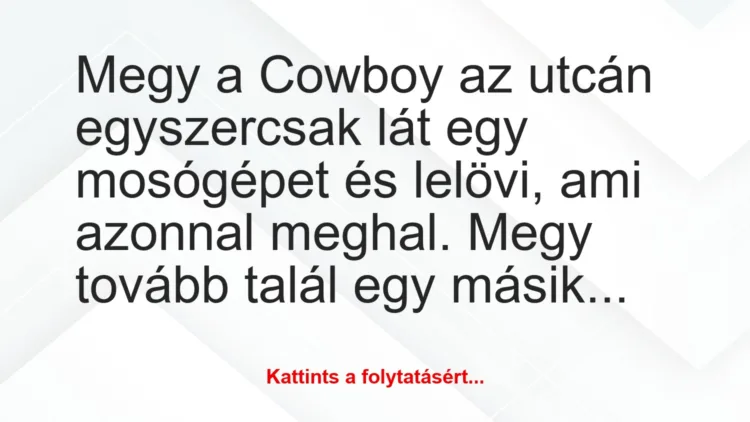 Vicc: Megy a Cowboy az utcán egyszercsak lát egy mosógépet és lelövi, ami az…