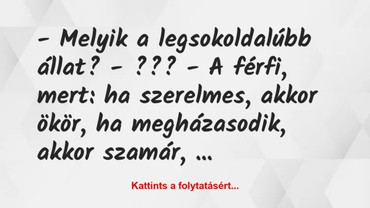 Vicc: – Melyik a legsokoldalúbb állat? 

– ??? 

– A férfi, mert:…