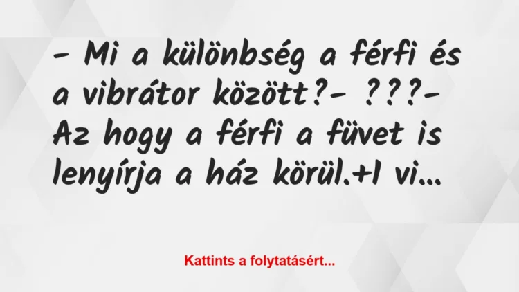 Vicc: – Mi a különbség a férfi és a vibrátor között?

– ???

– Az…