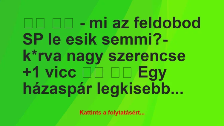 Vicc: 
		  
		  – mi az feldobod SP le esik semmi?- k*rva…