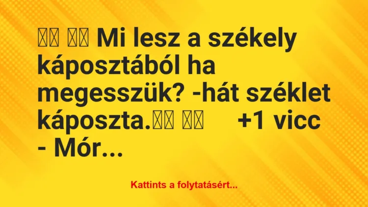 Vicc: 
		  
		  Mi lesz a székely káposztából ha megesszük?…