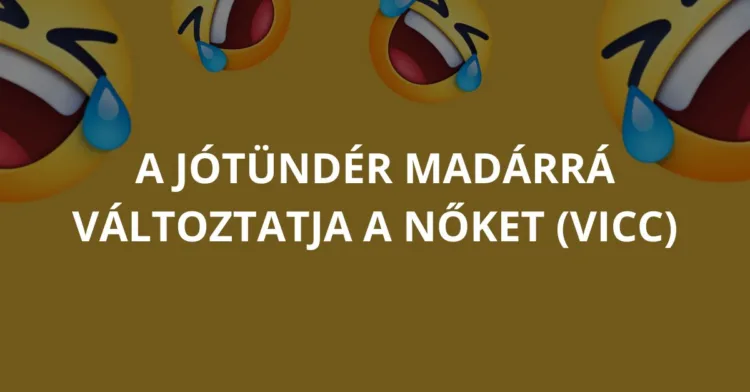 Vicc: A jótündér madárrá változtatja a nőket