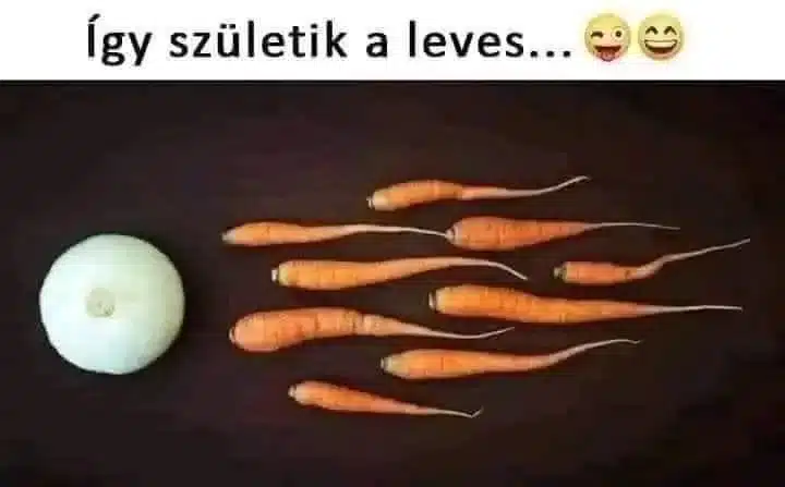 Vicces képek –