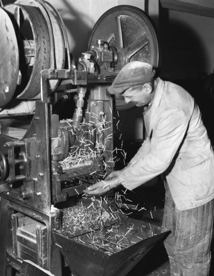 1956.  Kecskemét, Farkas József gépmunkás a gyufaszálvágó gép használata közben …