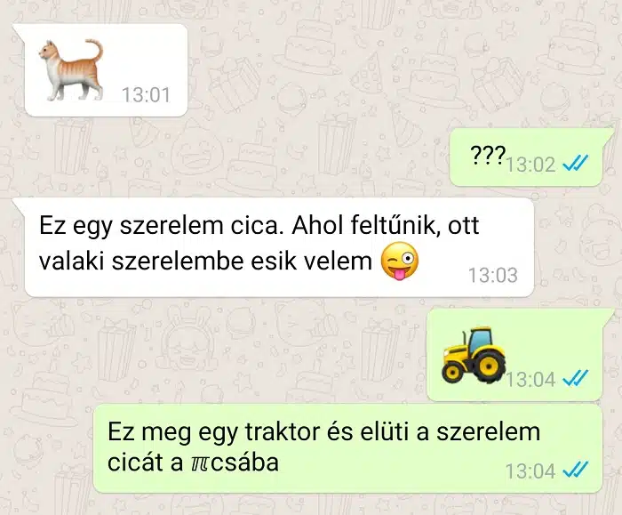 macska és szerelem