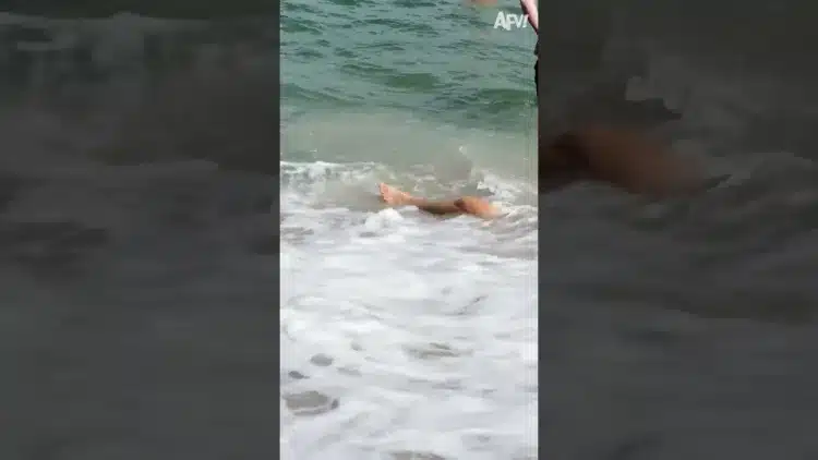 Soha nem láttam, hogy jön  #Shorts #FAIL #FUNNY #WAVES #SEA
 – videó