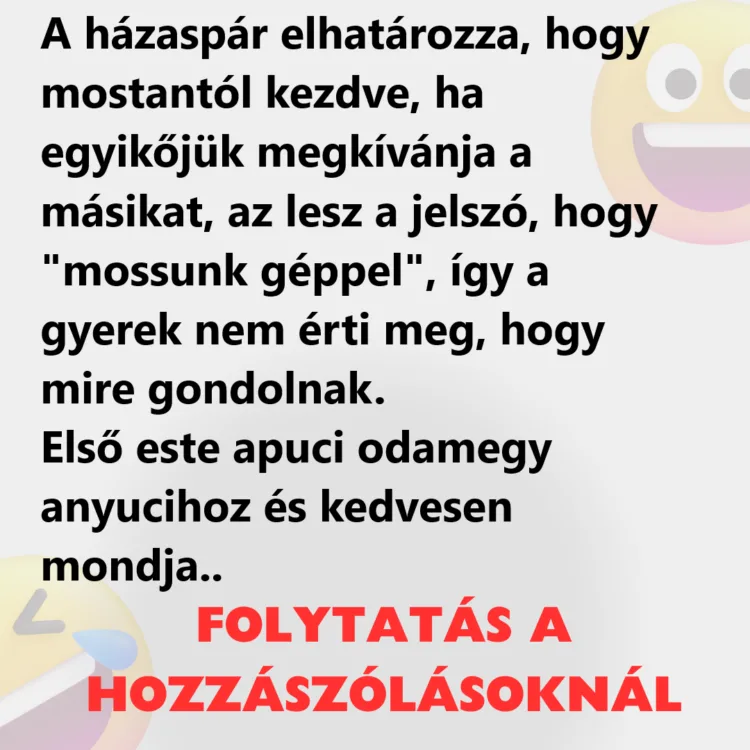 Vicc: A házaspár elhatározza