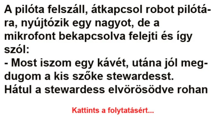 Vicc: A pilóta felszáll, átkapcsol robot pilótára – Néhány jó…