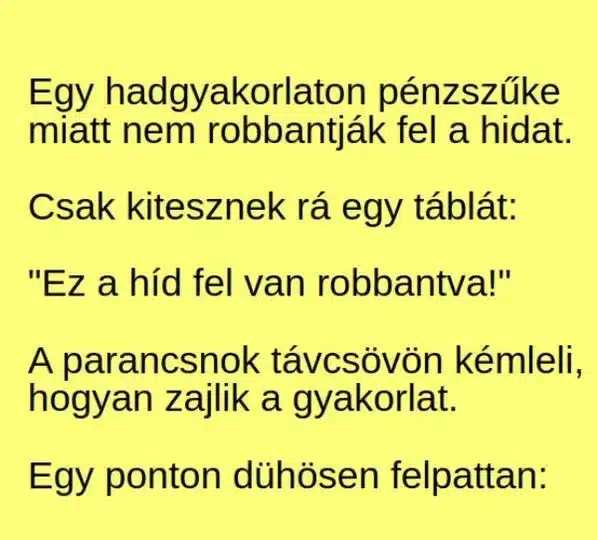 Vicc: Egy hadgyakorlaton pénzszűke miatt nem robbantják fel a hidat….