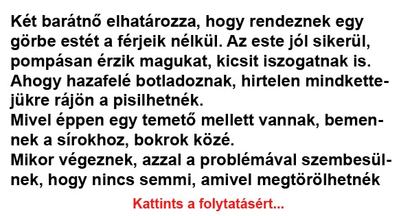 Vicc: Két barátnő elhatározza, hogy rendeznek egy görbe estét…